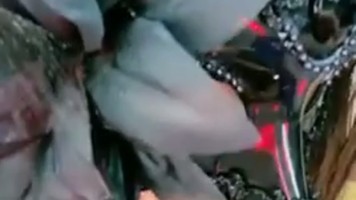Dedek Kaylaa Ngangkang SelangkanganNya Hot