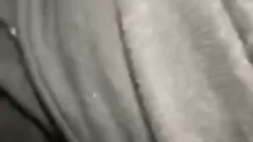 Skandal Sissy Video Kolpri Ngewe Binal Dari Cewek Gen Z